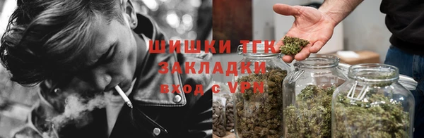 дурь Заводоуковск