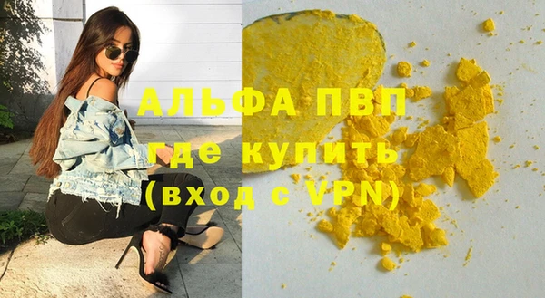 ГАЛЛЮЦИНОГЕННЫЕ ГРИБЫ Заволжье