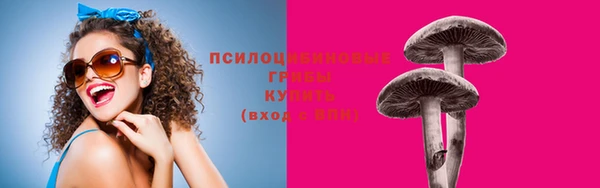 ГАЛЛЮЦИНОГЕННЫЕ ГРИБЫ Заволжье