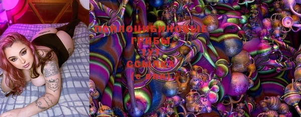 ГАЛЛЮЦИНОГЕННЫЕ ГРИБЫ Заволжье