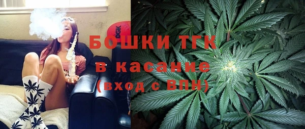 дурь Заводоуковск