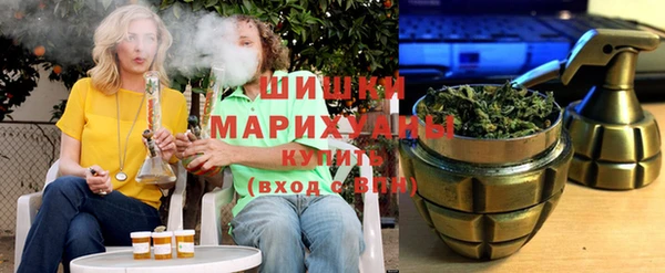 дурь Заводоуковск