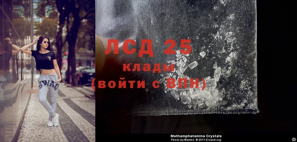 ГАЛЛЮЦИНОГЕННЫЕ ГРИБЫ Заволжье