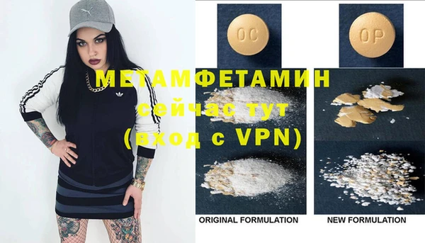 ГАЛЛЮЦИНОГЕННЫЕ ГРИБЫ Заволжье