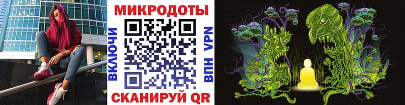 Галлюциногенные грибы прущие грибы  Купить закладки  Бабаево 